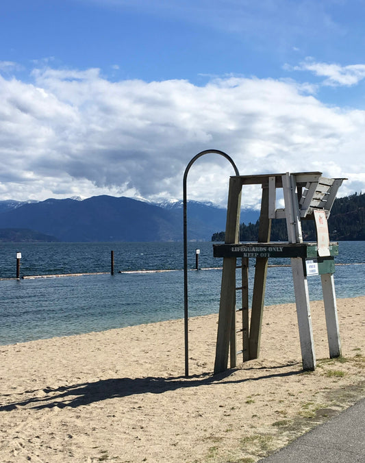 Lifeguard Station (6910)