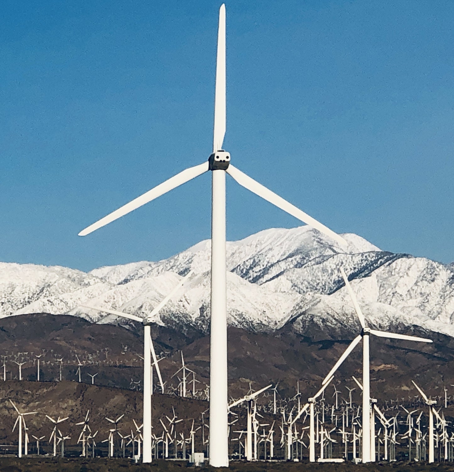 Windmill Snowy Mountains Palm Springs (7422)