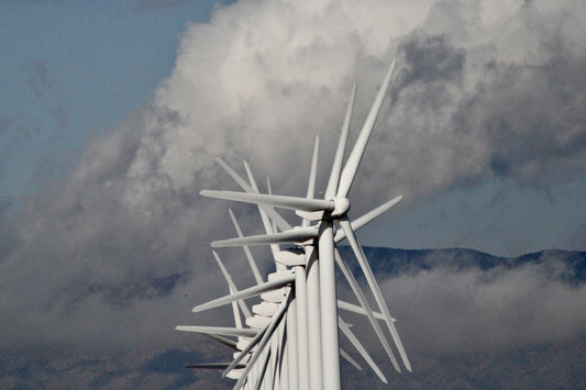 Windmill Cluster Palm Springs (7658)