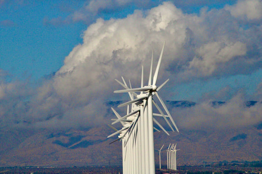 Windmill Cluster Palm Springs Full View (7569)